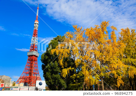 Autumn leaves in Tokyo seen from Minato Ward Shiba Park Autumn leaves in Tokyo seen from Minato Ward Shiba Park 96894275