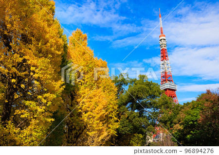 Autumn leaves in Tokyo seen from Minato Ward Shiba Park Autumn leaves in Tokyo seen from Minato Ward Shiba Park 96894276