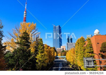 Autumn leaves in Tokyo seen from the Shiba Park pedestrian bridge 96894284
