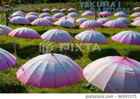 Yakurai Garden Umbrella and Rose Garden(宮城縣) Yakurai Garden Umbrella and Rose Garden(宮城縣) 96895375