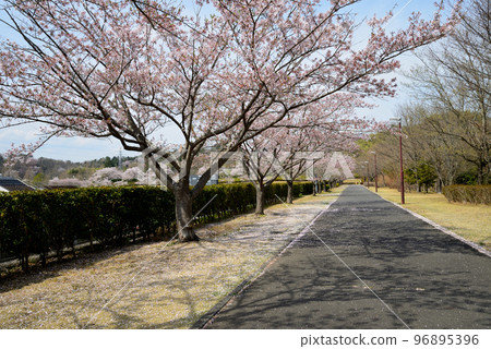 我們去了21世紀森林公園#32 我們去了21世紀森林公園#32 96895396