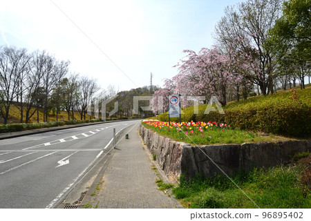 去了21世紀森林公園#38 去了21世紀森林公園#38 96895402