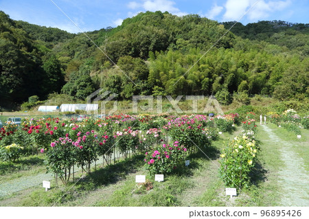 Kurokawa Daria Garden 96895426