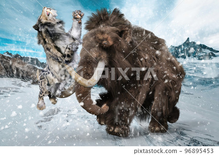 Saber-toothed tiger bitten by mammoth tusk 96895453