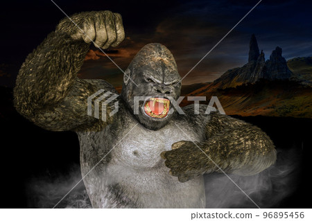 A giant gorilla beats its chest to intimidate 96895456