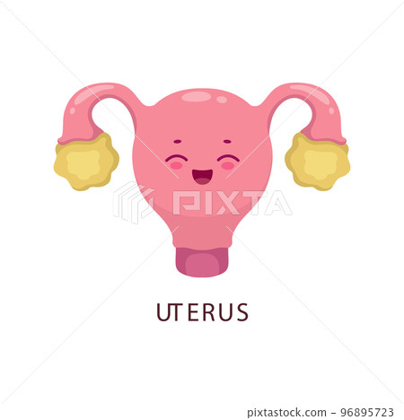 Cartoon uterus human bogy organ character. Female reproductive system part, human body anatomy and biology, internal organ cute vector character, isolated uterus cheerful personage or icon 96895723