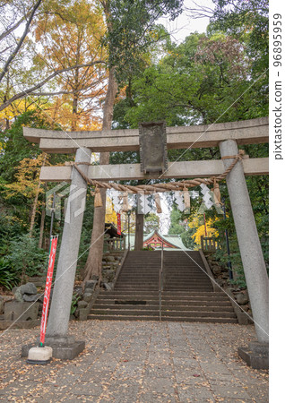 世田谷八幡宮鳥居 96895959