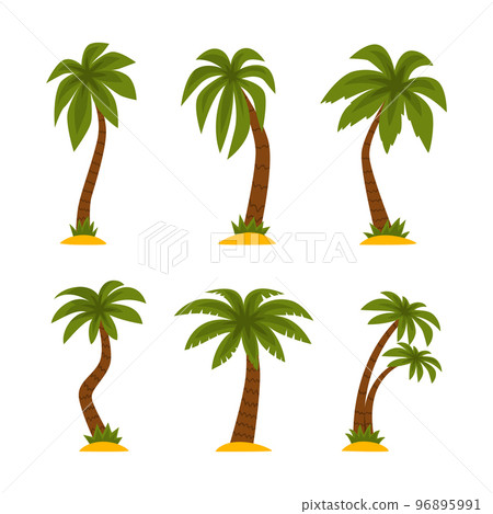 Palm Tree as Tropical Plant with Trunk Rested on Sand Vector Set Palm Tree as Tropical Plant with Trunk Rested on Sand Vector Set 96895991