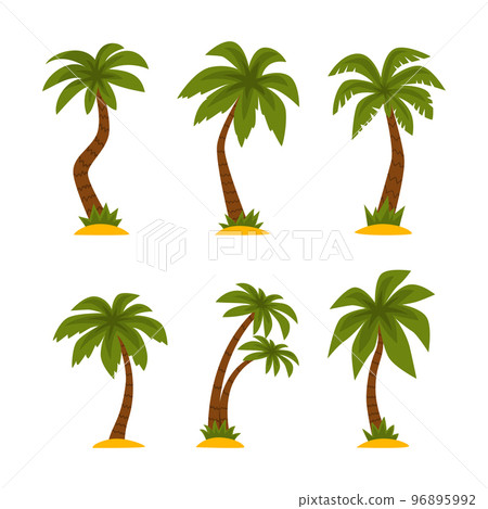 Palm Tree as Tropical Plant with Trunk Rested on Sand Vector Set 96895992
