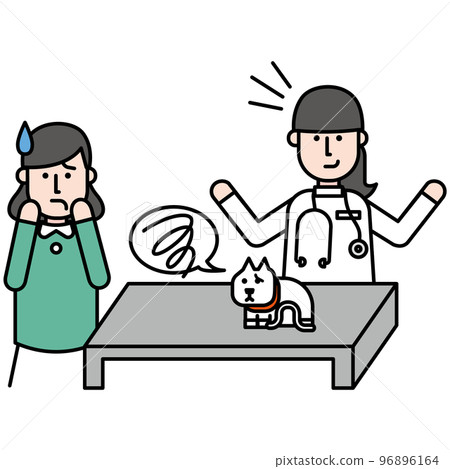 Love cat and owner who came to the animal hospital for medical examination due to poor physical condition 96896164