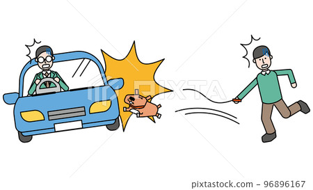 A pet dog and a panicked owner who cause an accident with a car when the leash breaks during a walk A pet dog and a panicked owner who cause an accident with a car when the leash breaks during a walk 96896167