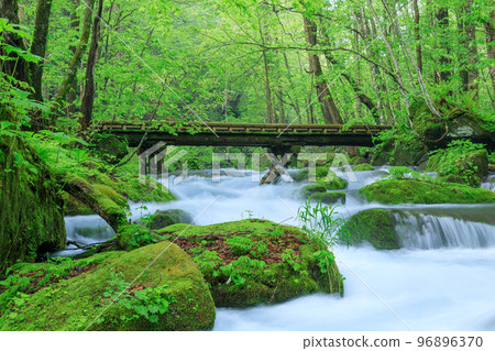 青森_奧入瀨溪流木橋場景 96896370