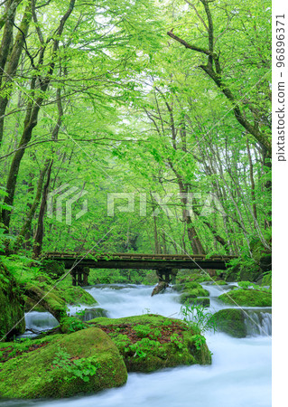 青森_奧入瀨溪流木橋場景 青森_奧入瀨溪流木橋場景 96896371