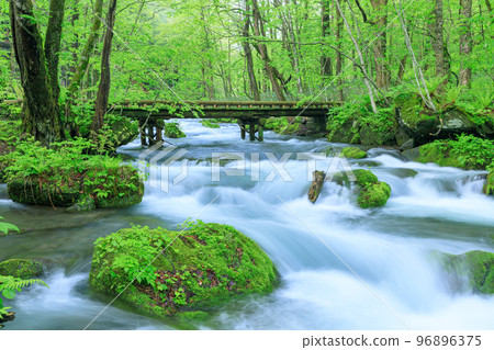 青森_奧入瀨溪流木橋場景 青森_奧入瀨溪流木橋場景 96896375