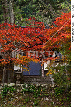 Autumn leaves of Ryu ga Temple 96896500