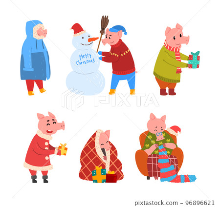 Pig Christmas Character Wearing Sweater and Scarf Knitting in Armchair, Giving Gift and Building Snowman Vector Set Pig Christmas Character Wearing Sweater and Scarf Knitting in Armchair, Giving Gift and Building Snowman Vector Set 96896621