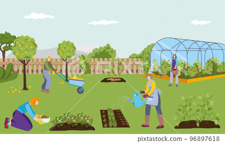 Cheerful farmer people work together nature farm, character use kitchen garden tool flat vector illustration, harvest green vegetable plants. Cheerful farmer people work together nature farm, character use kitchen garden tool flat vector illustration, harvest green vegetable plants. 96897618