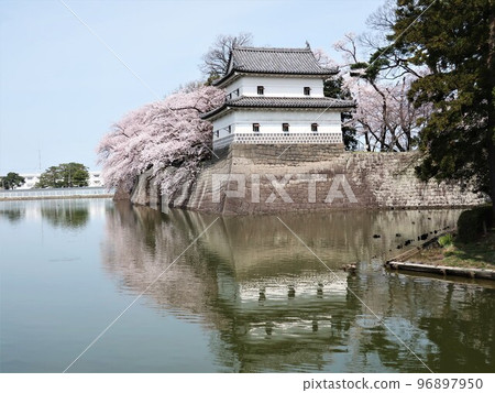Spring of Shibata castle 96897950