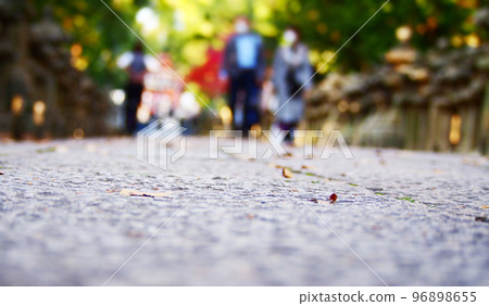cobbled road with falling leaves 96898655