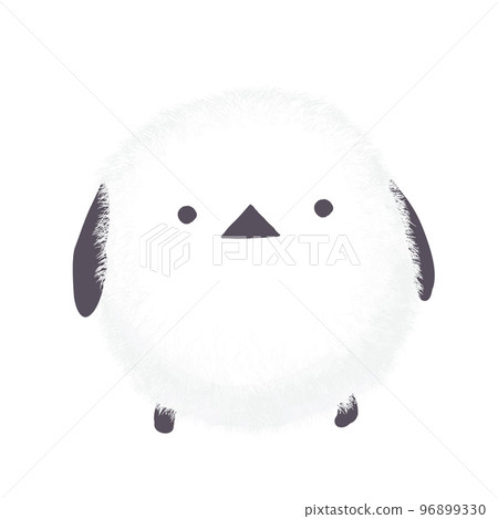 Fluffy long-tailed long-tailed illustration Fluffy long-tailed long-tailed illustration 96899330