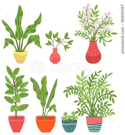 Houseplant in Vases, Flowers with Flourishing 96899387