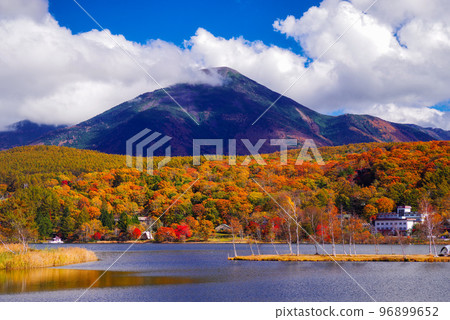 Autumn leaves of Lake Shirakaba 96899652