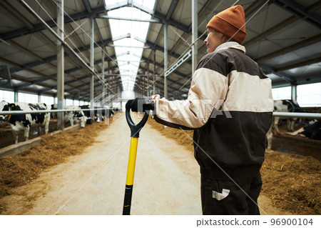Back of young female farmer in workwear standing between cowsheds Back of young female farmer in workwear standing between cowsheds 96900104