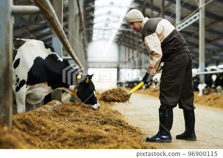 Side view of young male farmer with worktool bending over fodder 96900115