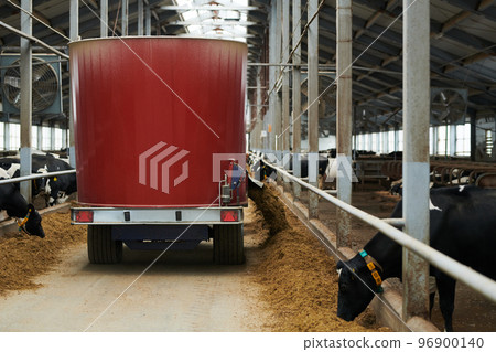 Back view of industrial machine moving along aisle between cowsheds Back view of industrial machine moving along aisle between cowsheds 96900140