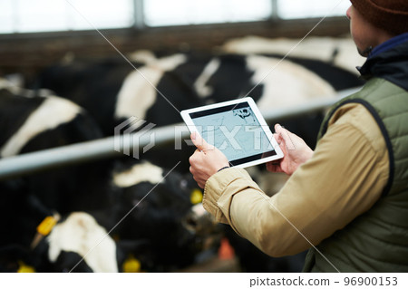 Close-up of young male worker of livestock farm with digital tablet Close-up of young male worker of livestock farm with digital tablet 96900153