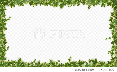 Frame of ivy vines with green leaves 96900309