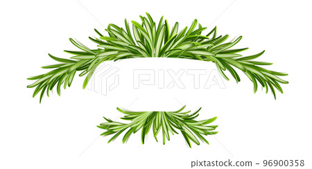 Rosemary banner, frame with green leaves, border 96900358