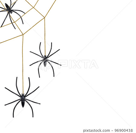 Black spiders hang on a golden web isolated on white 96900438