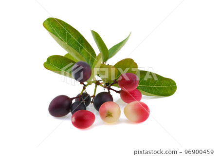Carunda or Karonda isolate on white background Carunda or Karonda isolate on white background 96900459
