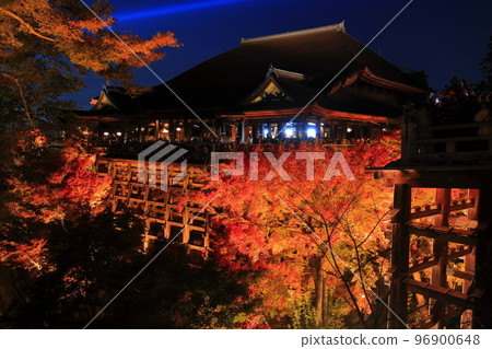 [京都府]清水舞台和紅葉燈飾（清水寺） 96900648