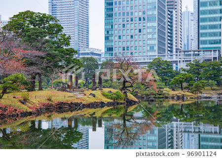 Tokyo in autumn Kyu-Shiba Rikyu Gardens with colored leaves Tokyo in autumn Kyu-Shiba Rikyu Gardens with colored leaves 96901124