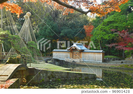 小石川後樂園後樂園門 96901428