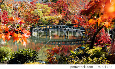 Autumn leaves of Eikan-do Autumn leaves of Eikan-do 96901788