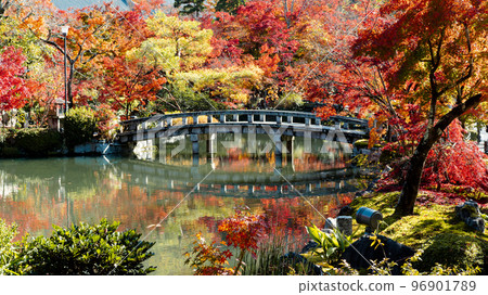 Autumn leaves of Eikan-do 96901789