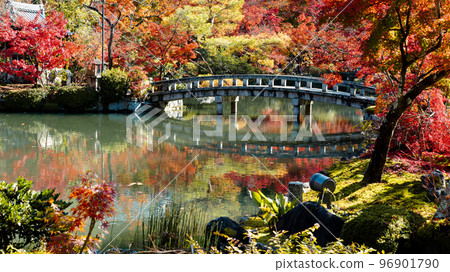 Autumn leaves of Eikan-do Autumn leaves of Eikan-do 96901790