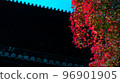 Autumn leaves of a temple 96901905