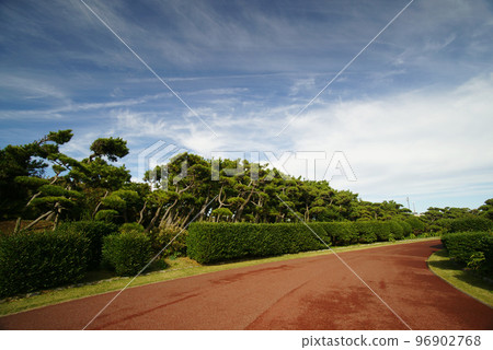 Prefectural Jogashima Park 96902768