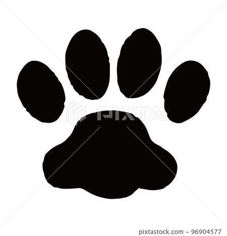 Cat paws 96904577