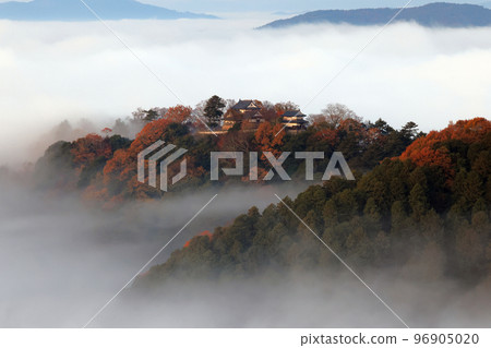 Castle in the Sky 6336 96905020