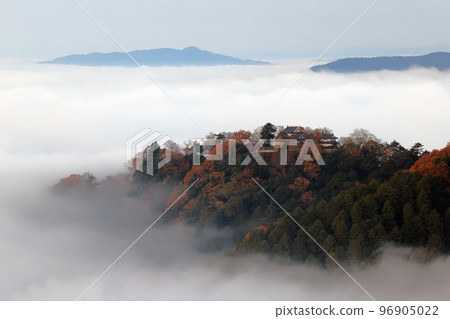 Castle in the Sky 6342 96905022