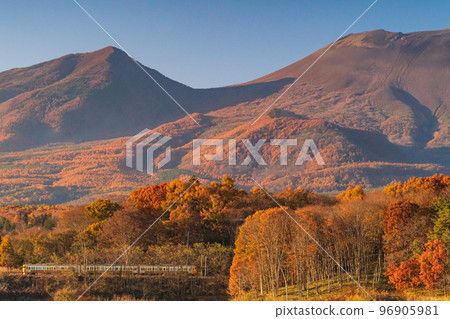 Shinano Railway Series 115 Taiwan color and Mt.Asama with autumn leaves 96905981