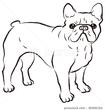Simple and cute French bulldog hand-drawn line drawing vector illustration (black and white) 96906568