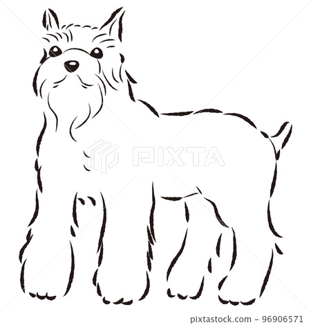 Simple and cute miniature schnauzer hand drawn line drawing vector illustration (black and white) 96906571