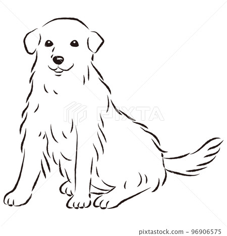 簡單可愛的金毛獵犬手繪線描矢量圖（黑白） 96906575