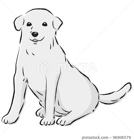 簡單可愛的拉布拉多獵犬手繪線描矢量圖(黑白) 簡單可愛的拉布拉多獵犬手繪線描矢量圖(黑白) 96906579